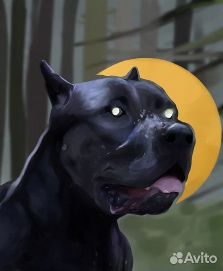 Портреты животных на заказ