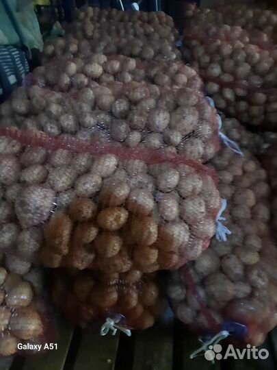 Продам картофель оптом