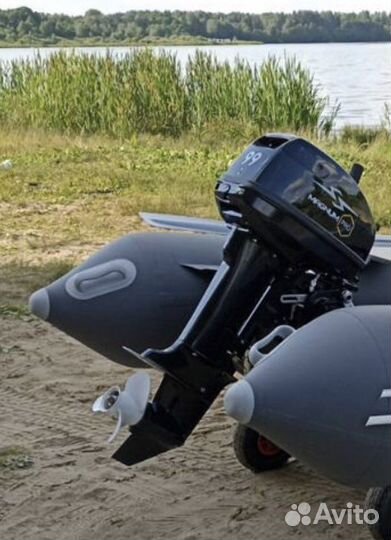 Лодочный мотор