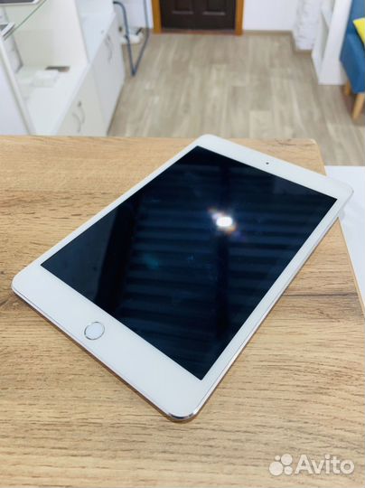 iPad mini 4 cellular