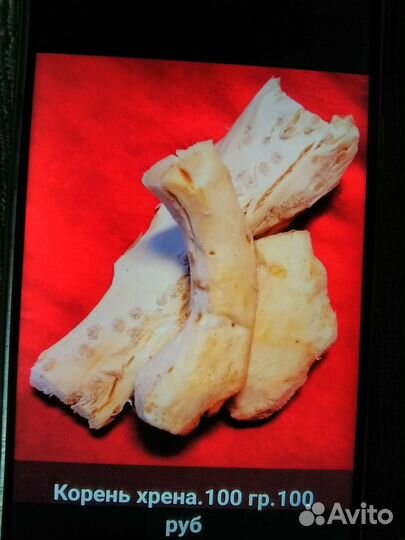 Продам свежие корни хрена