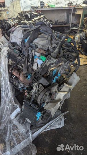 Двигатель Nissan Elgrand E51 VQ35DE 2006