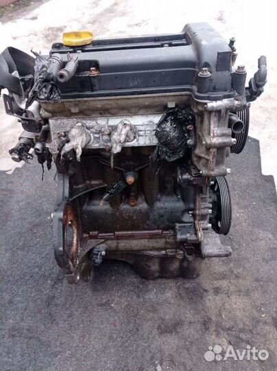 Двигатель Opel Corsa C (2001 - 2006) 1.0 Z10XE