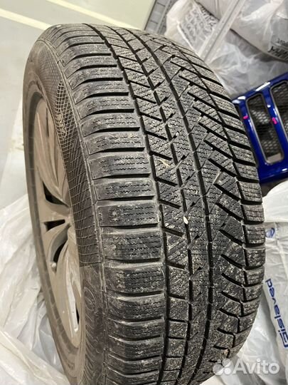 Continental WinterContact TS 850 P SUV 265/55 R19 113H