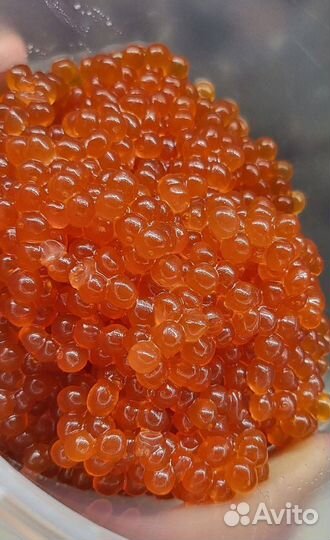 Красная икра премиум