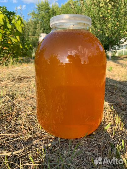 Золотой Мед. Сентябрь. Разнотравье. Доставка