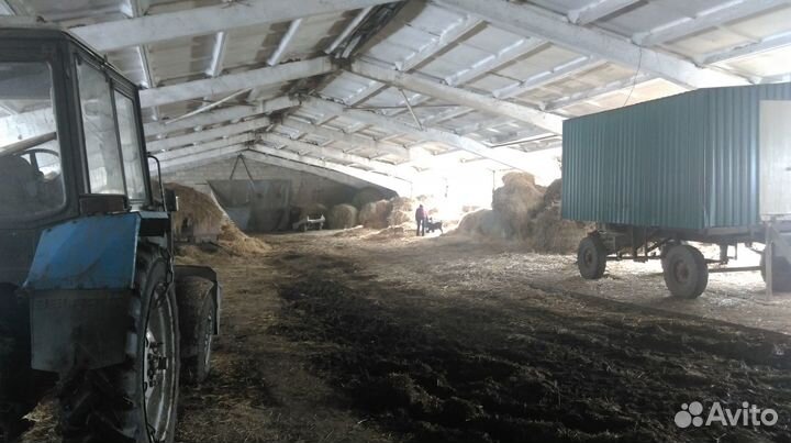 Фермерское хозяйство - Сыроварня и козья ферма