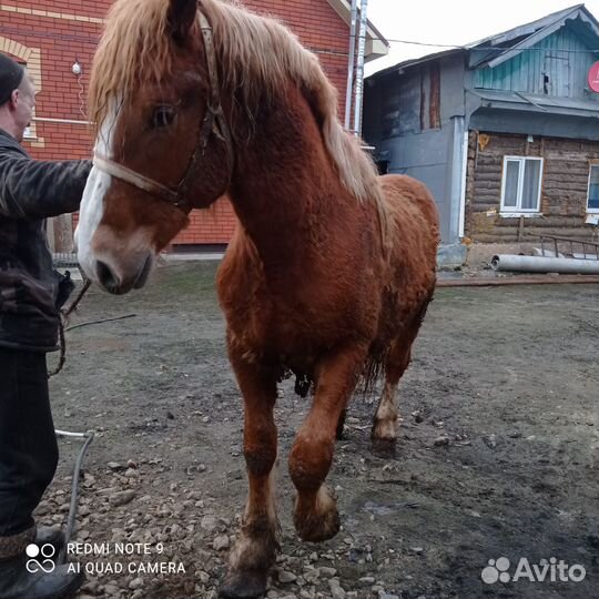 Советский тяжеловоз