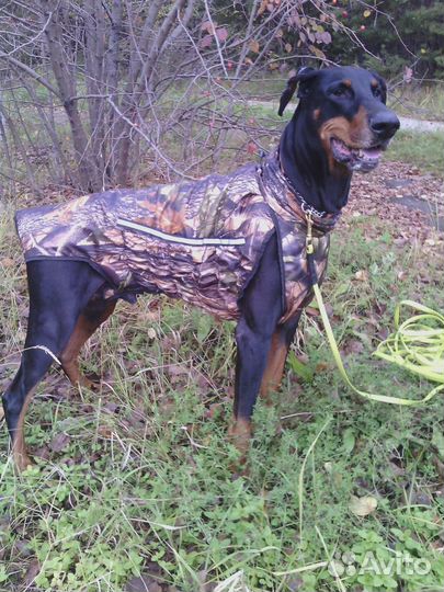 Дождевик для средней собаки