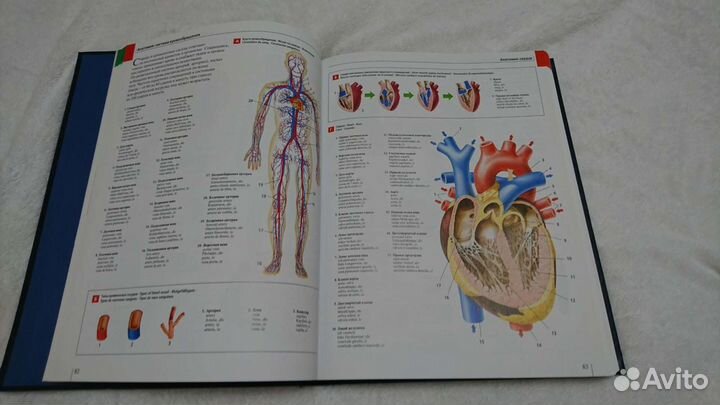 Большой иллюстрированный словарь