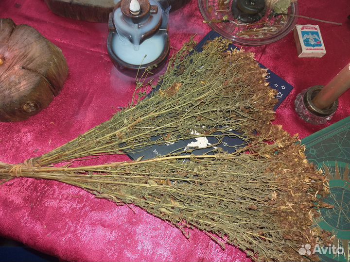 Зверобой сушеный