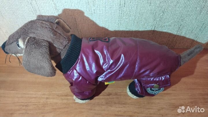 Комбинезоны для собак мелких пород