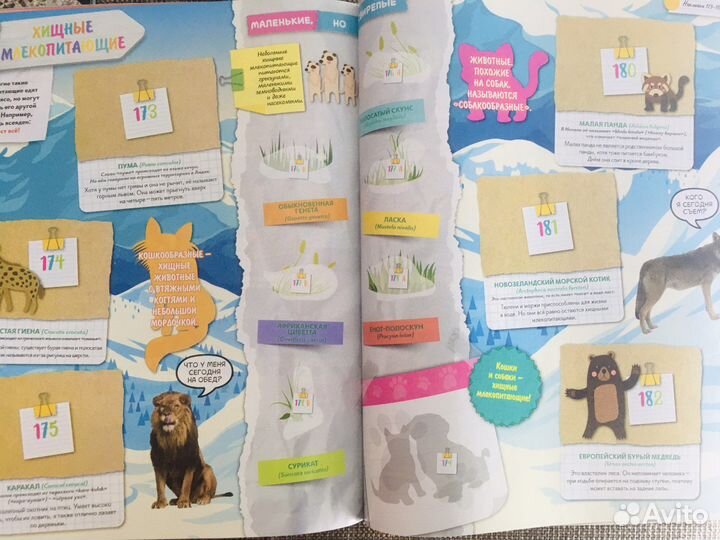 Новые альбомы для наклеек Panini.Динозавры,зооплан