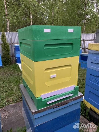 Обучение и обслуживание на Вашей пасеке
