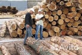 Контролер / бракер / учетчик деревообработки