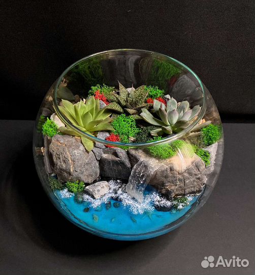 Флорариум Морской