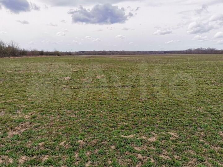 Участок 75 га (СНТ, ДНП)
