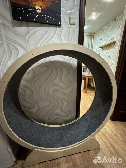 Беговое колесо для кошек малых и средних пород