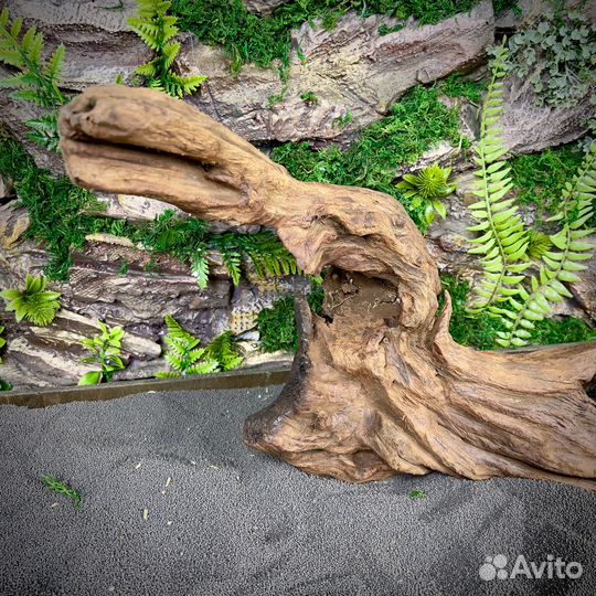Коряга для аквариума Тиковое дерево (нкт76)