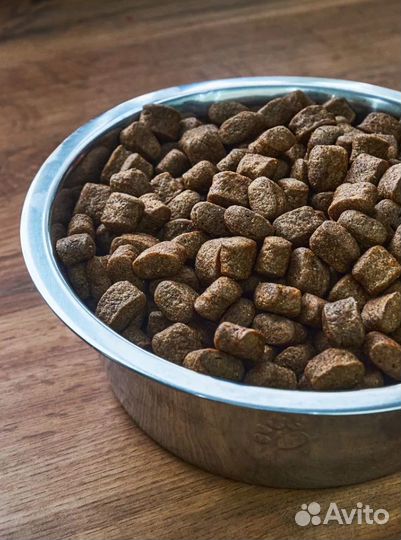 Сухой корм для собак