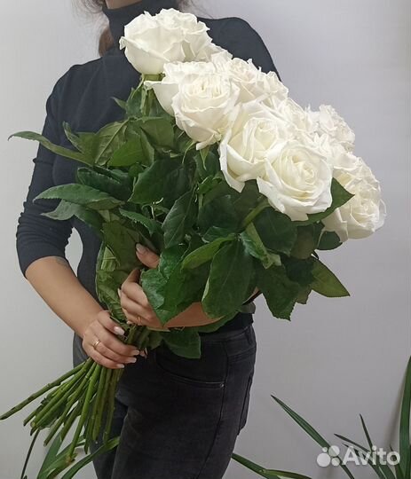 Роза Эквадор 60 см