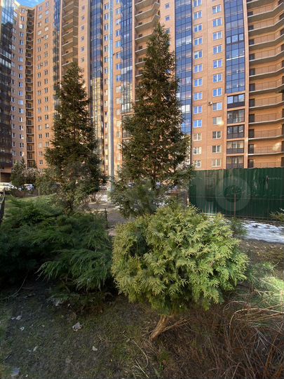 1-к. квартира, 39,6 м², 7/21 эт.