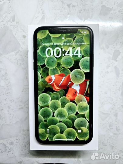iPhone XR