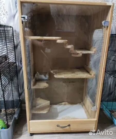 Витрина для грызунов