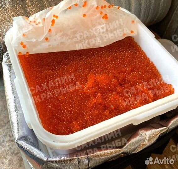 Красная икра горбуши