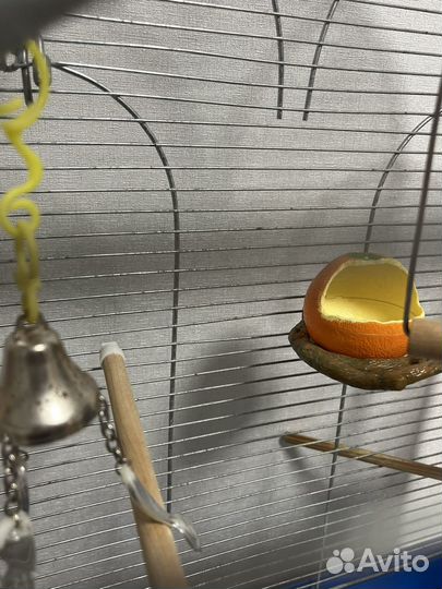 Клетка для попугая