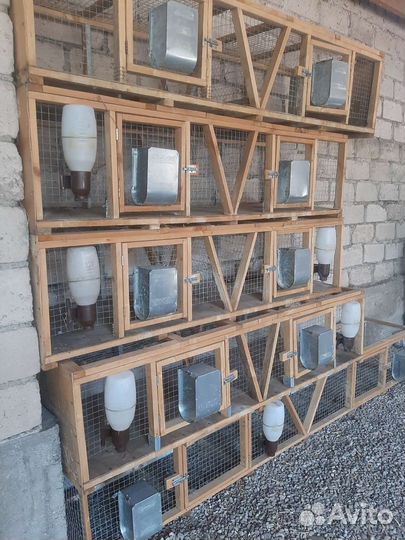 Клетка для кролика