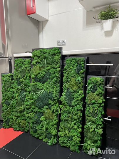 Фитопанно из стабилизированного мха