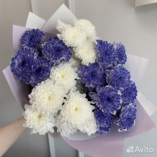 Цветы доставка кустовая хризантема