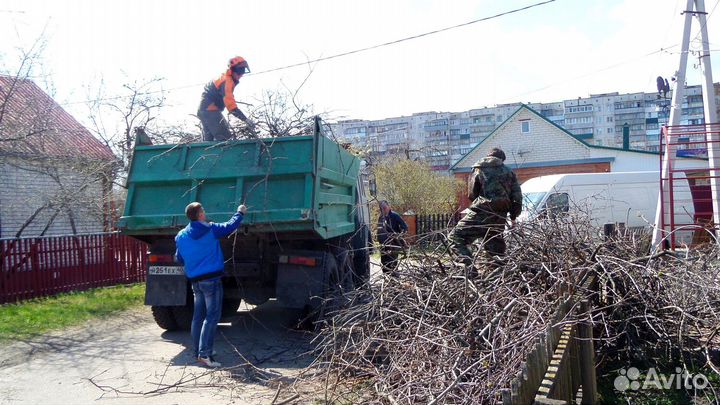 Вывоз мусора Череповец