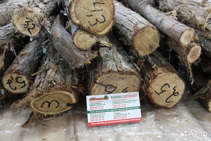 Можжевельник стволы для спилов за 1 кг