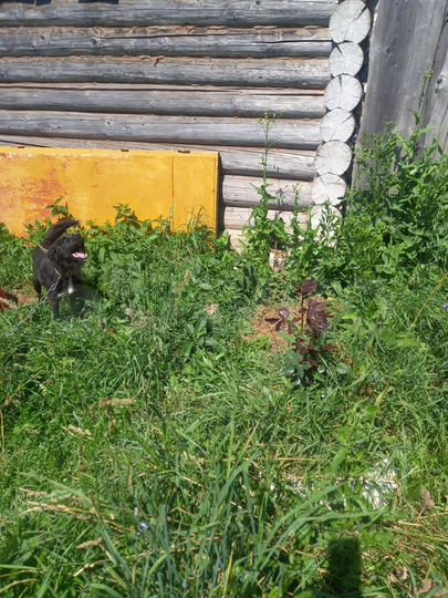 3-к. квартира, 50 м², 1/1 эт.