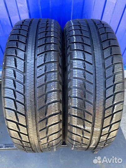Michelin Alpin A3 195/65 R15