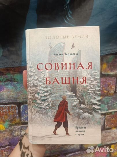 Книги сокол и ворон