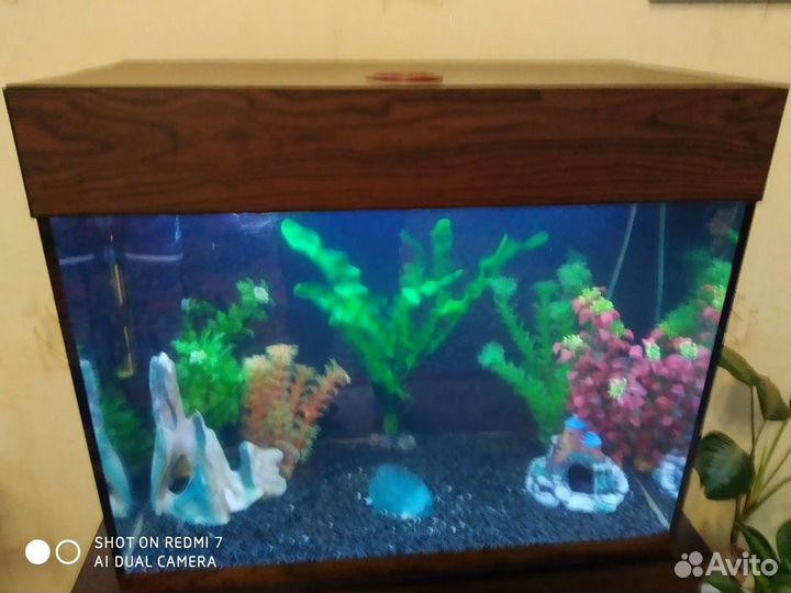 Аквариум