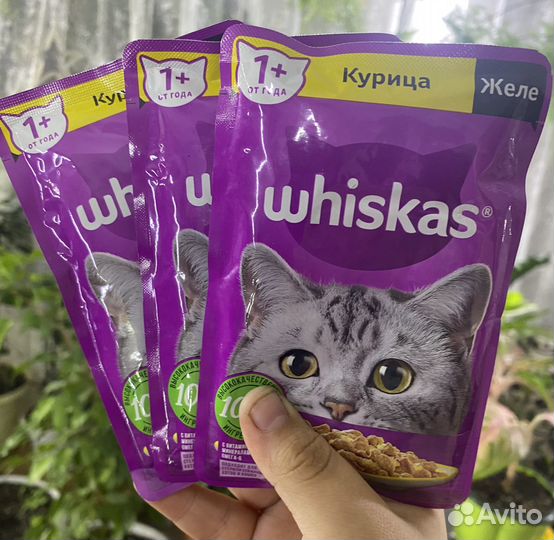 Корм для кошек