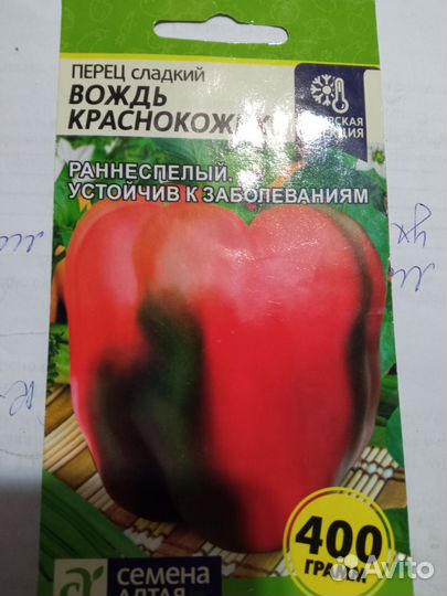Рассада балконных огурцов баклажанов