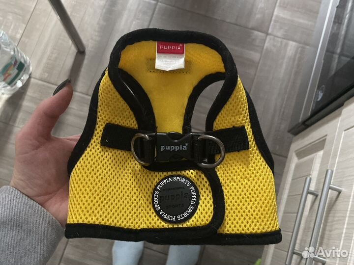 Шлейка для маленькой собаки, кошки