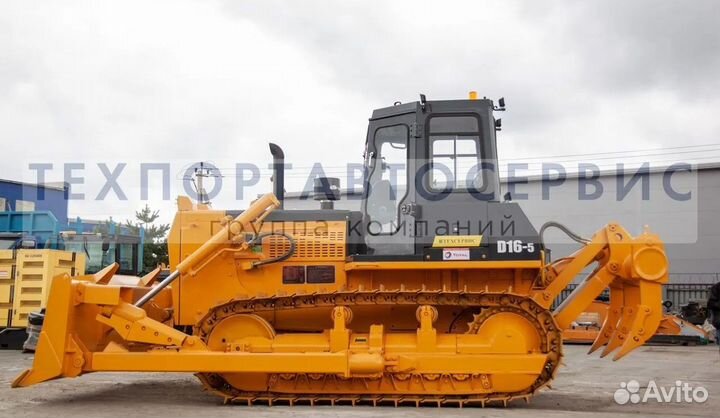 Beezone D16-5, 2023