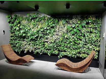 Вертикальное озеленение: преобразите свой дом сего
