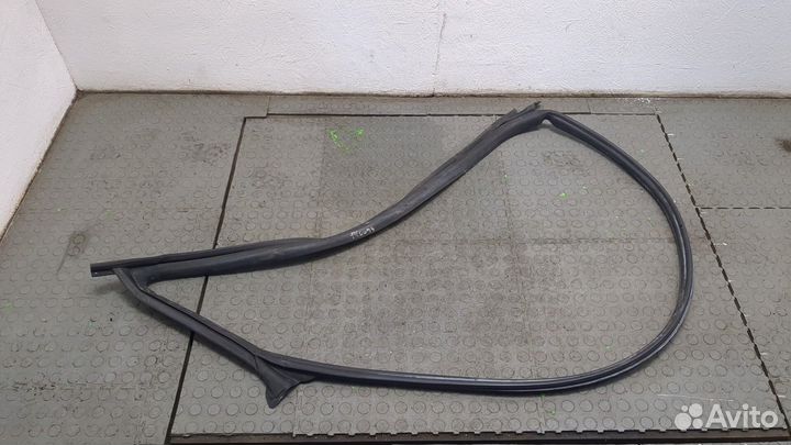 Уплотнитель Tesla Model 3, 2021