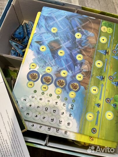 Фотосинтез игра настольная