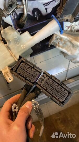 Фишка эбу блока управления двигателем Solaris Rio