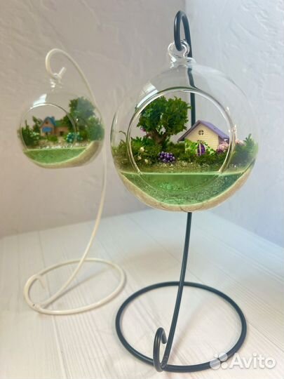 Флорариум Подвесы с моссариумами Подарок