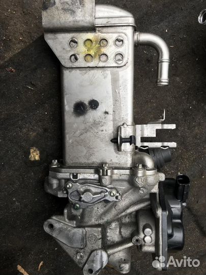 Радиатор EGR 03L131512BQ Audi