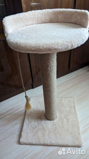 Когтеточка